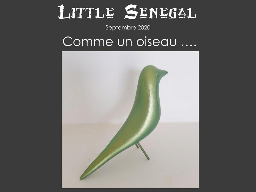 Comme un oiseau by Little Senegal, Saly, Art